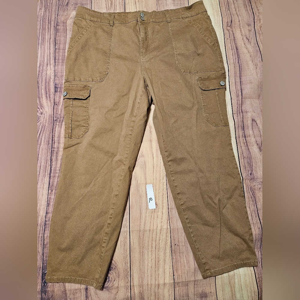 Terra and Sky Cargo pants 22w